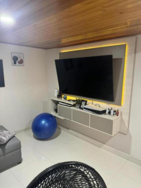 Vision 360 Palmetto primera linea